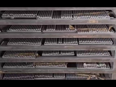 ผงเหล็กตองเฟิร์ม